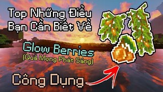 Top Những Điều Bạn Cần Biết Về Glow Berries Trong Minecraft || Quả Mọng Phát Sáng || MrBlackVN