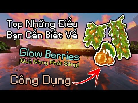 Top Những Điều Bạn Cần Biết Về Glow Berries Trong Minecraft || Quả Mọng Phát Sáng || MrBlackVN