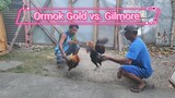 Ormoc gold vs. Gilmore