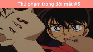 Thủ phạm trong đôi mắt p5