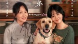 So Long For Love | Life | English Subtitle | Chinese Movie