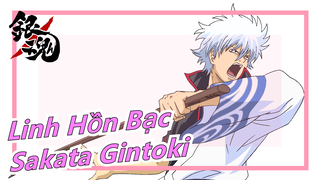 [Linh Hồn Bạc] Shiroyasha Sakata Gintoki--- Anh ấy luôn giấu kín mọi điều trong tim