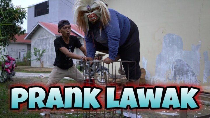 MAU NGEPRANK MALAH JADI KAYA GINI