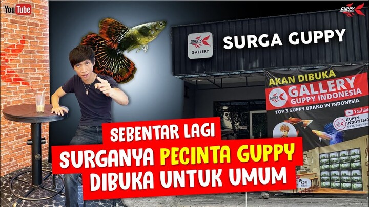 BOCORAN TEMPAT YANG BAKAL JADI SURGANYA BAGI PECINTA GUPPY INDONESIA