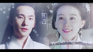 [Yang Yang x Liu Shishi] The Begonia Remains the Same