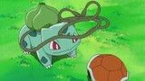 [Pokémon] Siapa yang tidak menyukai Bulbasaur maksimal dengan rasa keadilan yang kuat dan kemampuan 