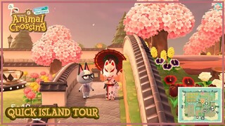 Quick 5-Star Island Tour | Animal Crossing: New Horizons