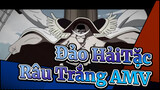 Đảo HảiTặc 
Râu Trắng AMV