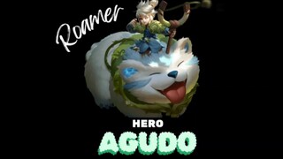 Tutorial hero Agudo Honor of Kings