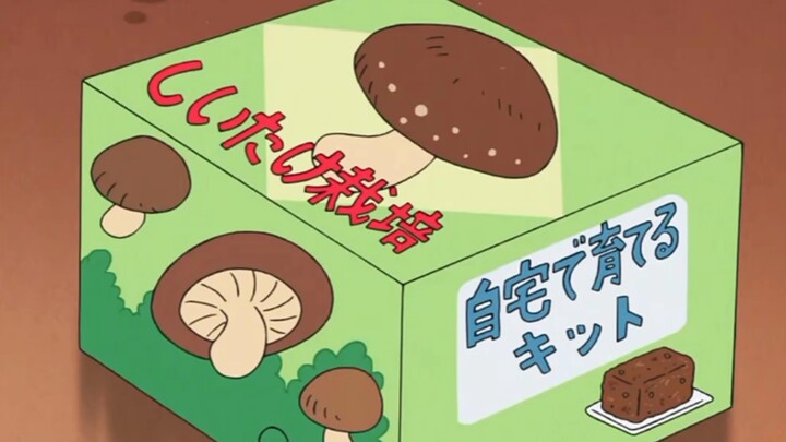 野原家种植松茸计划开始
