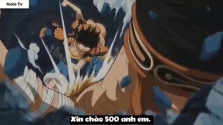 Top 7 Bác Sĩ Vĩ Đại Nhất One Piece #34- 1