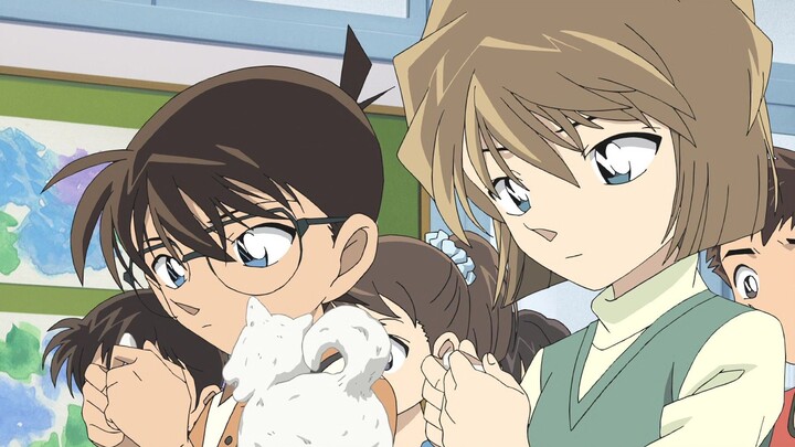 Episodes of Ai Haibara's TV appearances, review records