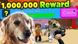 My Dog Reached 1 MILLION EGG Hatches in Roblox Bubblegum Simulator