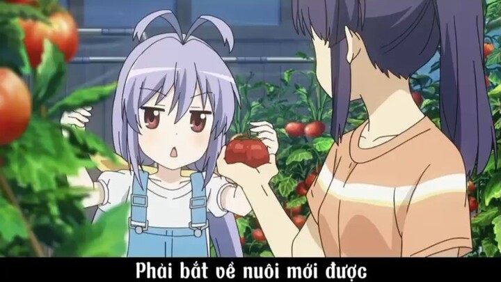 Phải bắt về nuôi mới được #amv