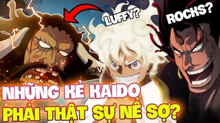 NHỮNG CÁI TÊN KHIẾN KAIDOU PHẢI CÔNG NHẬN SỨC MẠNH?!