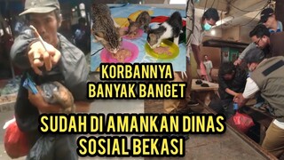 Anak Kucing Minta Tolong Karena Di Bawa ODGJ Di Pasar Par 2 Alhamdulillah Sudah Di Amankan..!