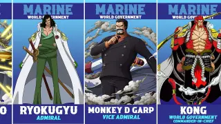 ONE PIECE All Characters Marine From Weakest to Strongest | KONG is User Mythical Zoan Sun Wukong ?!