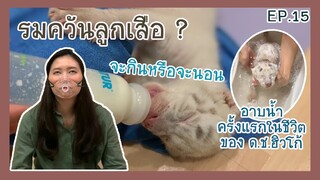 เมื่อ ด.ช.ฮิวโก้ ไม่สบาย จนต้องรมควัน EP.15