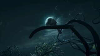PV BTTH S5 EPS 131