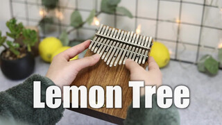 【คาลิมบา】เพลงเปรี้ยวหวาน "Lemon Tree" ผลมะนาวบนต้นมะนาว