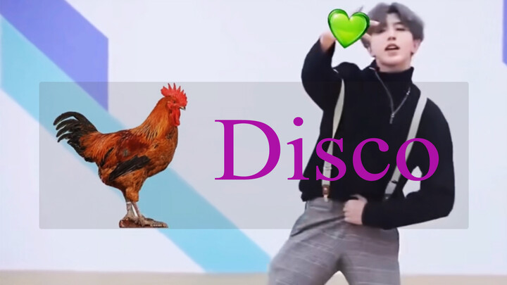 Wild Chicken Disco