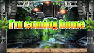 I'm coming home (Reggae Remix) Skylar Grey  2022 Tiktok Viral