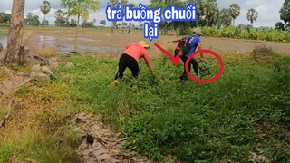 Tư Cà Khịa Vô Tình Lượm Được Buồng Chuối Bị Chủ Rượt Te Tua