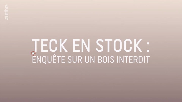 Teck en stock ： enquête sur un bois interdit - Arte - Source