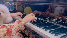 《你真漂亮》鬼怪OST|甜度满分,小狗犯困~