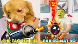 Thú Cưng Vlog | Tứ Mao Ham Ăn Đại Náo Bố #12 | Chó gâu đần thông minh vui nhộn | Smart dog funny pet