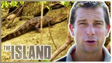 DEADLY Scorpions, Snakes & Crocodiles 🐊 | The Island With Bear Grylls | S02 E01 | Thrill Zone