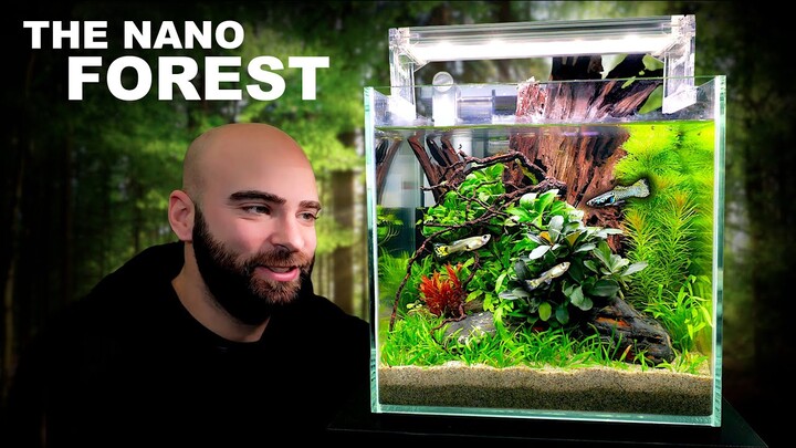 The Nano Forest: ALL IN ONE Aquarium Kit (Aquascape Tutorial)