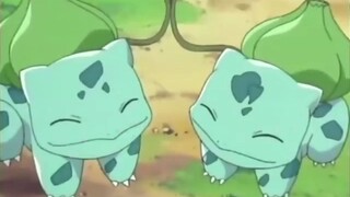 Bulbasaur, tamu kesepian dari Tianya, juga memiliki keturunan!