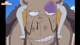 Con lạc đà nói đạo lý và cái kết bị Luffy,Sanji, Usopp đấm cho tòe mỏ =))