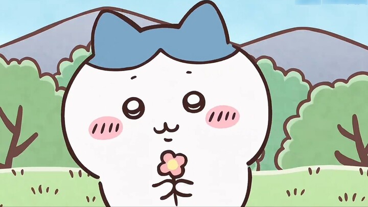 【Chiikawa】Ahhhhh I want to kiss Xiao Hachi who loves singing to death!