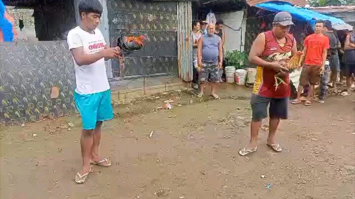 pangalawa laban panalo uli