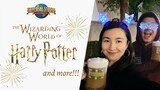 VLOG #3: NEW YEAR'S EVE AT THE WIZARDING WORLD OF HARRY POTTER and more!!!