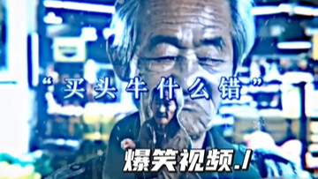 买头牛有什么错