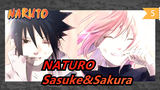 NATURO| Sưu tập về Sasuke&Sakura_E