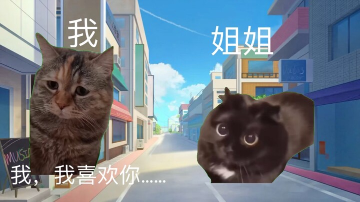 【猫meme】关于我鼓起勇气向暗恋对象表白然后成功了这件事