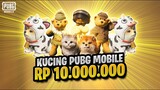TOP UP RP 10.000.000 BELI SEMUA PET PUBG MOBILE! - HOLLA BUDDY TEDDY BEAR