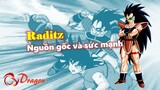 [Hồ sơ nhân vật]. Nguồn gốc và sức mạnh của Raditz - Anh trai của Goku