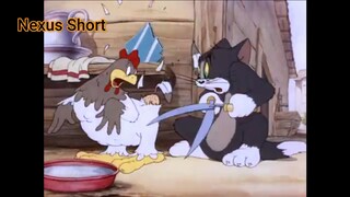 Tom & Jerry (Ep 8.3) Fine Feathered Friend (phần 3) #TomandJerry