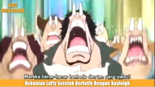 Kekuatan Luffy Setelah Berlatih Dengan Rayleigh