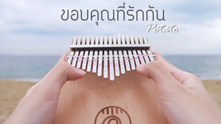 ขอบคุณที่รักกัน - Potato Kalimba Cover by cinnaopal