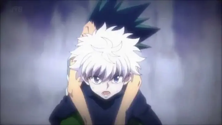 ハンターハンター Hunter X Hunter 11 Amv Brother Bilibili