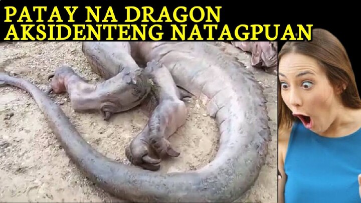 ACTUAL VIDEO NG DRAGON PANOORIN
