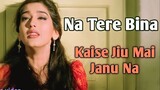 Na Tere Bina | ना तेरे बिना | Hindi Video Song | English Babu Desi Mem (1996)_ Shahrukh Khan
