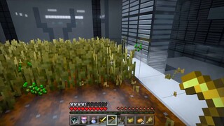 Selama setengah tahun, bangun armada luar angkasa di Minecraft