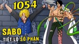 [ Spoiler One Piece 1054 ] Cái chết liên quan đến Sabo , Trái Ác Quỷ của Bò Lục là Logia ?